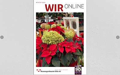 wir-online