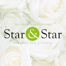 Star & Star